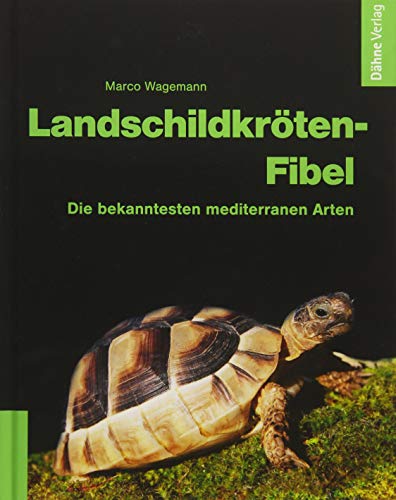 Landschildkröten-Fibel: Die bekanntesten mediterranen Arten von Daehne Verlag
